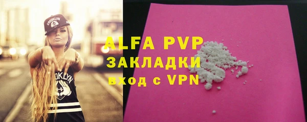 индика Алексин