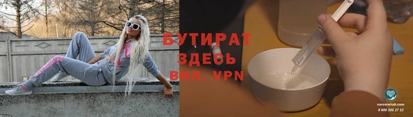 индика Алексин