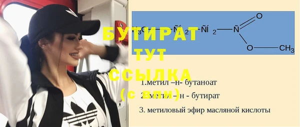 индика Алексин