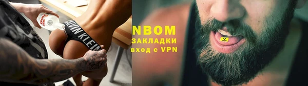 индика Алексин