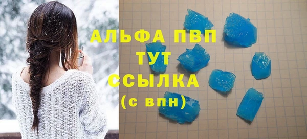 индика Алексин