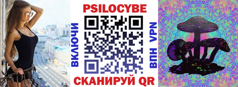 дарнет шоп  Сафоново  Псилоцибиновые грибы Cubensis 